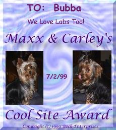Maxx and Carley's Cool Site Award