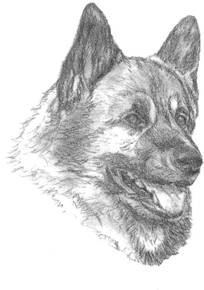 image002.png