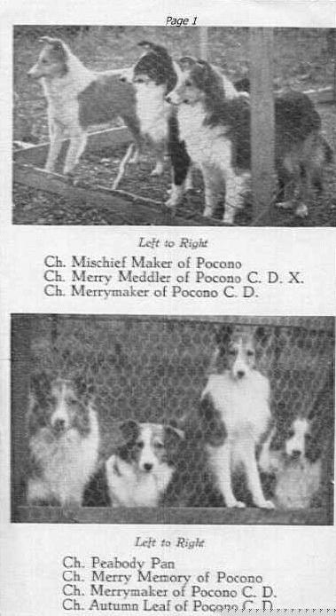 poconop1.jpg (48689 bytes)