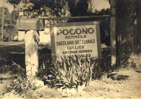 Betty's original Kennel sign