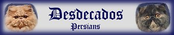 Link to Desdecados Cattery