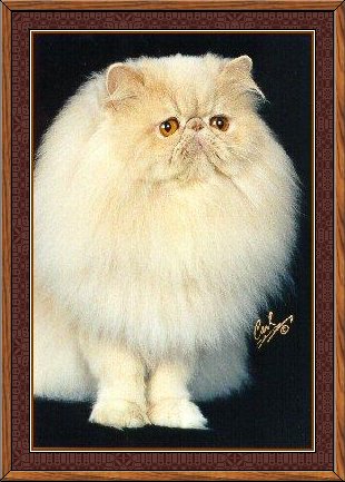 Photo of Dabby