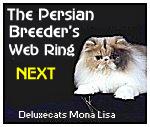 Next Persian Ring Site