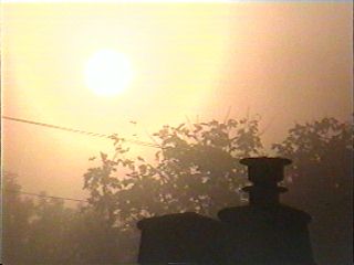 Fog in Puget Sound country.