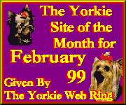 feb9yorkiesite.gif (5097 bytes)