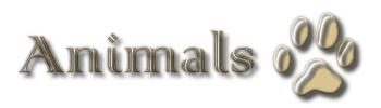 animals.jpg (4379 bytes)