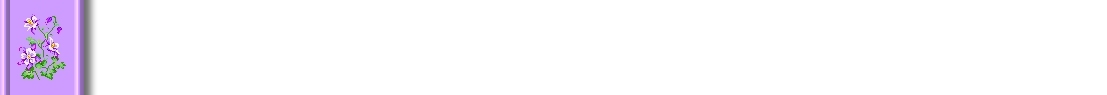 columb3.jpg (8515 bytes)
