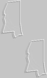 embms.jpg (6078 bytes)