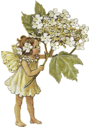 Fairy with Flowers