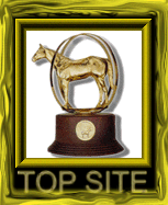 The Horse Source