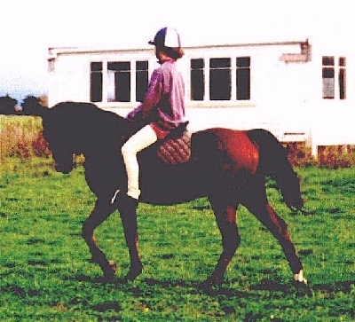 Emma and Sherwood Gambler again