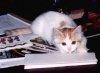 I like to read