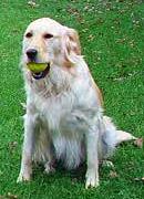 Its MY ball