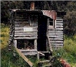 Chaffey Hut - Kahurangi National Park 