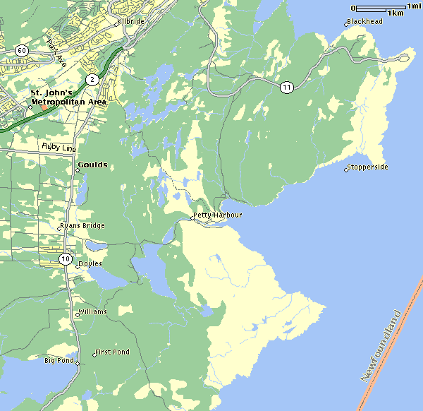 pettyharbour.gif (30898 bytes)