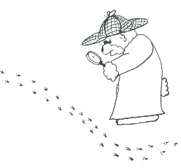 Detective Bear