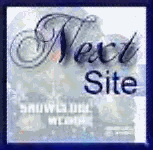 Next Site