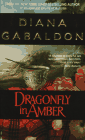 Dragonfly in Amber