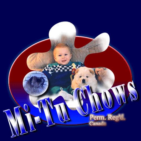 Mi-Tu Chows