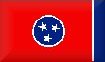 tnn.jpg (1902 bytes)
