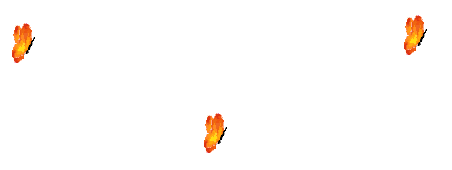 Butterflies.gif - 18934 Bytes