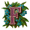 alpha1f.gif