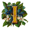 alpha1i.gif