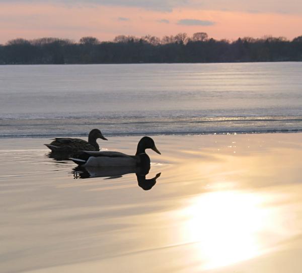 Lake Minnetonka