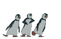 /user/penguin.gif