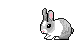 /user/rabbit2.gif