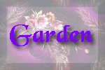 Back to the Garden