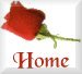 The Home Front