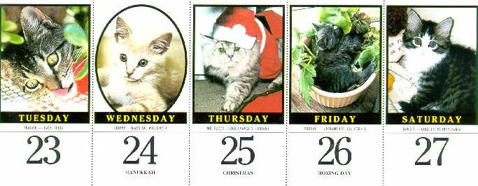 Posed as the Christmas Kitty in 1997