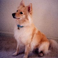 Casey