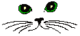 Cute cat