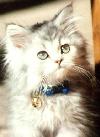 I'm sooo cute!