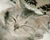 Look at me -- I am soooo precious!!!