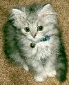Am I cute!!