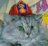 Cool Fire Chief