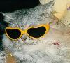 Looking cute with sunglasses