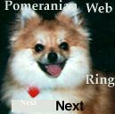 Next Pomeranian Ring