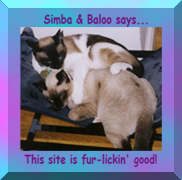 Fur-Lickin' Good Award