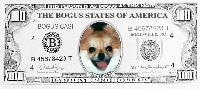 Sweetie's $100 Bill