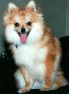Are we done with the photo session yet???  Please, no more pictures!  I'm tired!