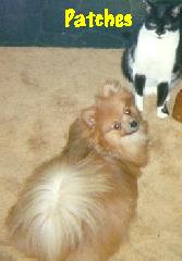Walter and Patches