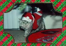 Christmas Album