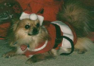 Waiting for Santa