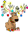Christmas Doggie with lights