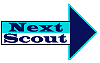 Next Scout