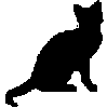 Jolie